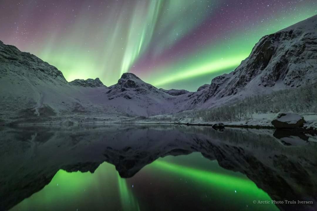 Sea & Mountain View Apartment Tromsø Dış mekan fotoğraf